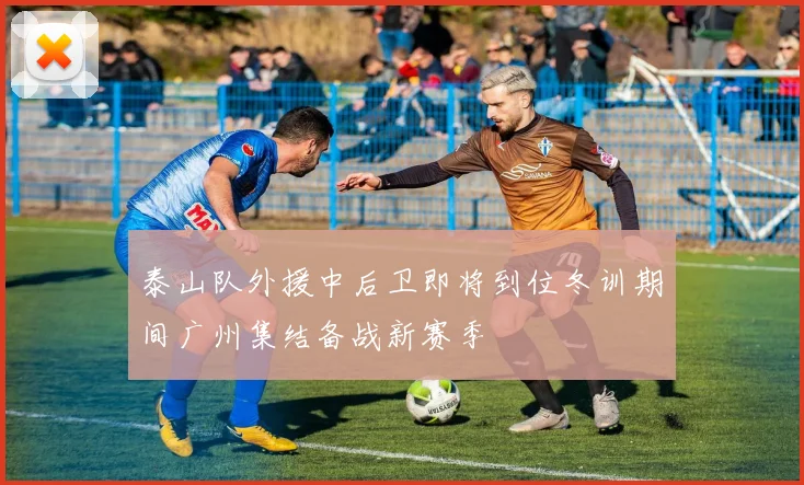 泰山队外援中后卫即将到位冬训期间广州集结备战新赛季