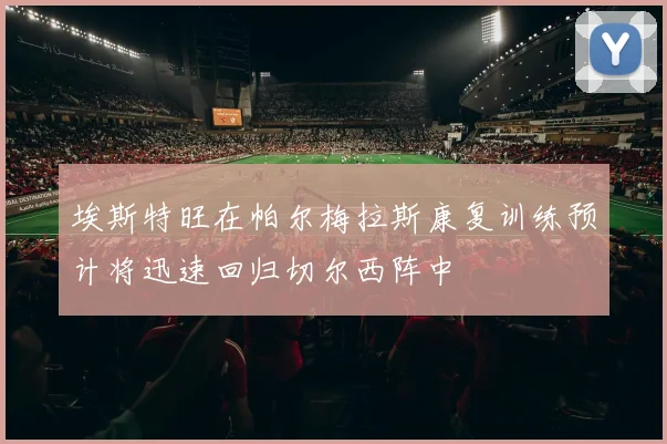 埃斯特旺在帕尔梅拉斯康复训练预计将迅速回归切尔西阵中
